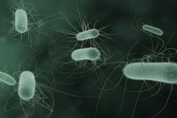 Mikroorganismen, die bei Erregung eine pathologische Entladung verursachen